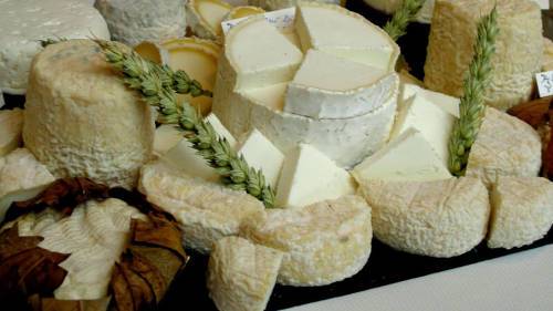 Fromages de chèvre varois
