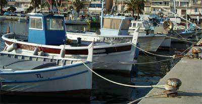 Pointus au port de Bandol