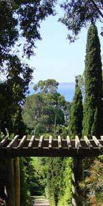 La pergola du jardin